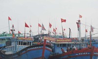 Bernyanyi lagu nasional  sebelum  pergi ke lapangan ikan  tradisional Hoang Sa