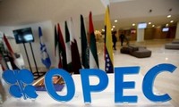 OPEC menegaskan akan mendukung Perjanjian Paris