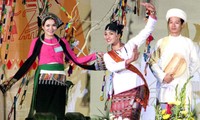 Vietnam menghadiri Festival Kebudayaan Rakyat Dunia-2017 di Romania