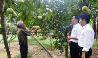 Berbagi pengalaman internasional tentang pengembangan rantai nilai dalam produksi pertanian