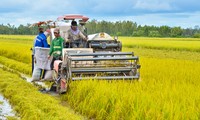 Mendorong penerapan teknologi tinggi pada produksi pertanian di subkawasan segi empat Long Xuyen