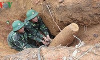 Membentuk Badan harian Badan Pengarahan Nasional  tentang usaha mengatasi akibat bom dan ranjau