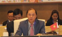 Viet Nam menghadiri  konferensi-konferensi pejabat senior  dalam rangka ASEAN+3, EAS  dan ARF