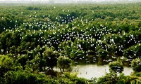 Datang mengunjungi kebun burung bangau Bang Lang