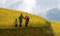 Terrains d’habitation et agricole des minorités ethniques débattus