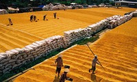 Session de la Commission des statistiques agricoles pour l’Asie et le Pacifique