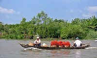 Renforcer le développement socio-économique dans le delta du Mékong