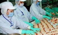 Le Vietnam proteste contre la taxe imposée par le DOC sur ses crevettes 