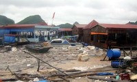 Localities recovering from Son Tinh storm