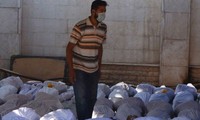 Syria will allow UN inspectors to visit a site of chemical weapons attack