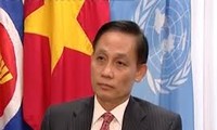 Vietnam engages in UN post-2015 development agenda   