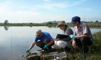 Resolving dioxin contamination in Bien Hoa airport, Dong Nai province