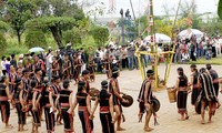 Typical musical instruments of the Bana