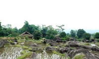 Stilt-house of the Tay in Ha Giang province