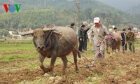 New Year’s “Going to the field” festival of the Giay