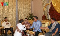 Vietnamese high-ranking delegation visits Laos 