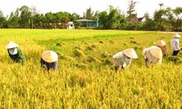 Japan and Vietnam enhance agricultural cooperation