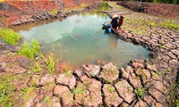 US, Vietnam release joint announcement on climate change