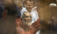 Egyptian court hands down a life sentence to a MB leader