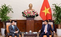 Vietnam considers Japan long-term, important partner