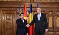 Vietnamese PM meets with Romanian President