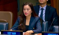 Vietnam committed to combat illegal trade of small guns, light weapons