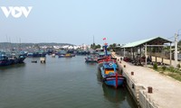 Binh Dinh strives to combat IUU