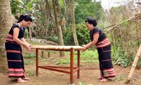 Bamboo musical instruments of the Xo Dang