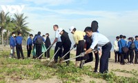 Da Nang lauches Action Month for the environment