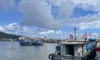 Vietnam considers combatting IUU fishing an urgent mission