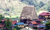 Vi Rơ Ngheo, an ancient village in a flower forest