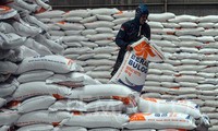 Vietnam becomes Indonesia’s second biggest rice supplier