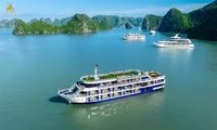 200 European billionaires to join Art For Climate Festival in Ha Long Bay