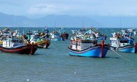 Phu Yen province combats IUU fishing