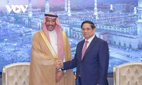 PM suggests Vietnam, Saudi Arabia raise two-way trade to 5-10 billion USD