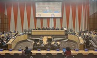 Vietnam participates in efforts on sustainable management, exploitation of essential minerals