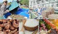 Major import markets of Vietnam’s agro-forestry-fishery products