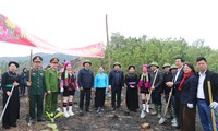 Localities launch Tree Planting Festival 