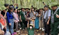 Cu Chi tunnels, a marvel of Vietnam’s military art