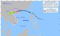 Typhoon Wipha to hit Vietnam on Tuesday