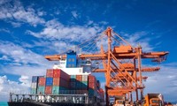 Vietnam’s import-export turnover gains in July