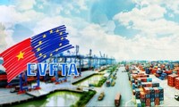 5 years of the EVFTA, driver of green, sustainable growth