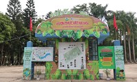Hanoi Botanical Garden boasts rare plant species, beauty of nature