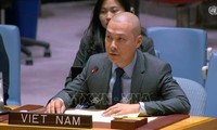 Vietnam supports substantive reform of UNSC