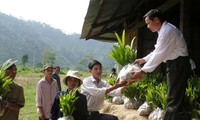 Vietnam strives to reduce the number of poor households to 25%