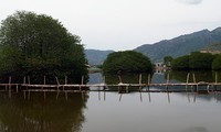 Tour of Khanh Hoa Mangrove Forest