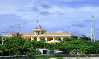 The first person to grow Barringtonia asiatica on Truong Sa islands