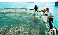 Tapping water surface potential for seafood sustainable development 