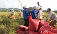 Lam Dong upholds democracy in new rural development