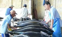 Improving values for Vietnamese tuna